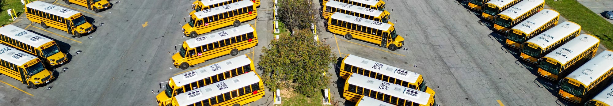 bus fleet